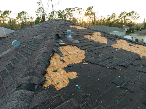 Best Gutter Installation and Repair  in Kapn, LA